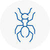 Ant Removals In West Halton