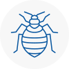 Bed Bug Extermination In West Halton