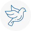 Bird Prevention West Halton