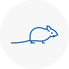 Mice Exterminators In West Halton