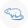 Rat Control West Halton