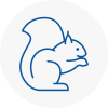 West Halton Rodent Removals