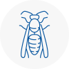 West Halton Wasp Nest Removal